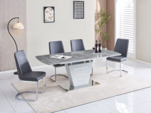 Modern Grey Dining Set